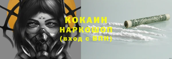 мдпв Бронницы