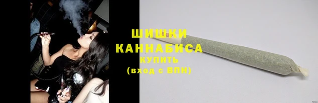 мдпв Бронницы