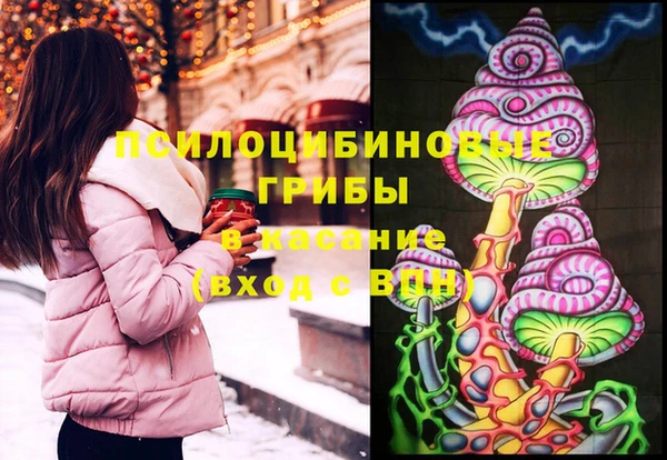 PSILOCYBIN Бугульма