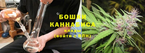 PSILOCYBIN Бугульма
