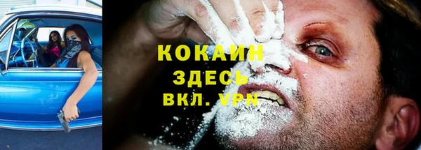 мдпв Бронницы