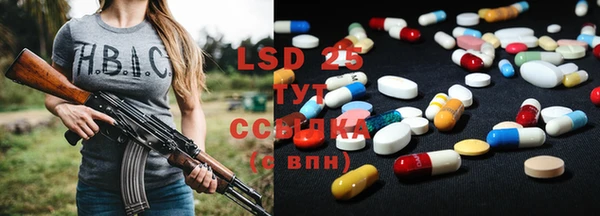 PSILOCYBIN Бугульма