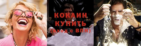 PSILOCYBIN Бугульма