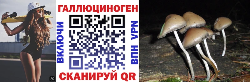 Псилоцибиновые грибы Magic Shrooms  закладка  Кирово-Чепецк 